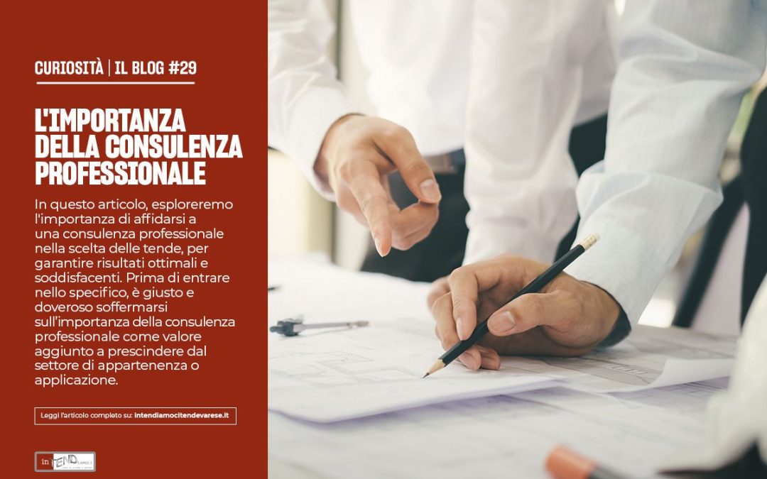 L’IMPORTANZA DELLA CONSULENZA PROFESSIONALE